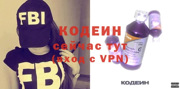 шишки Верхний Тагил