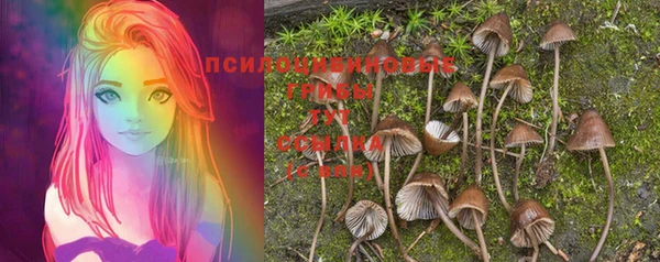мяу мяу мука Бородино