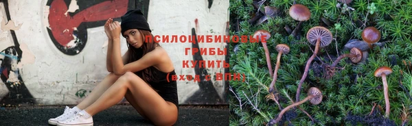 прущий лед Бугульма